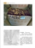 刘振炎《新会风•陈皮韵》摄影作品欣赏(8)_在线影展的作品